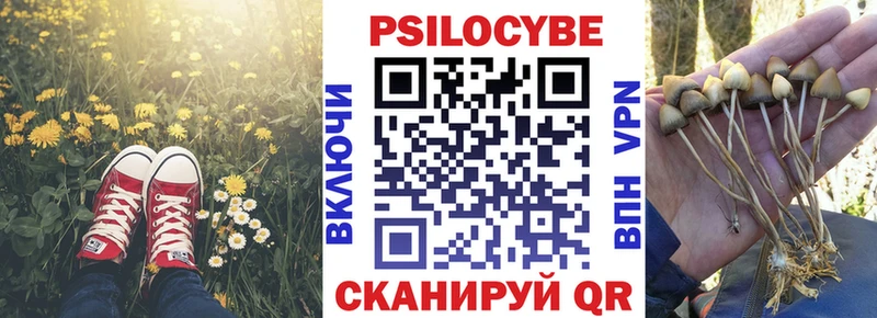 Псилоцибиновые грибы Psilocybine cubensis  Похвистнево 