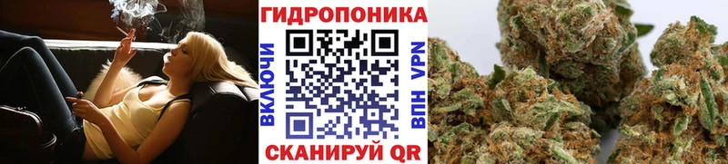 Каннабис OG Kush  Похвистнево 